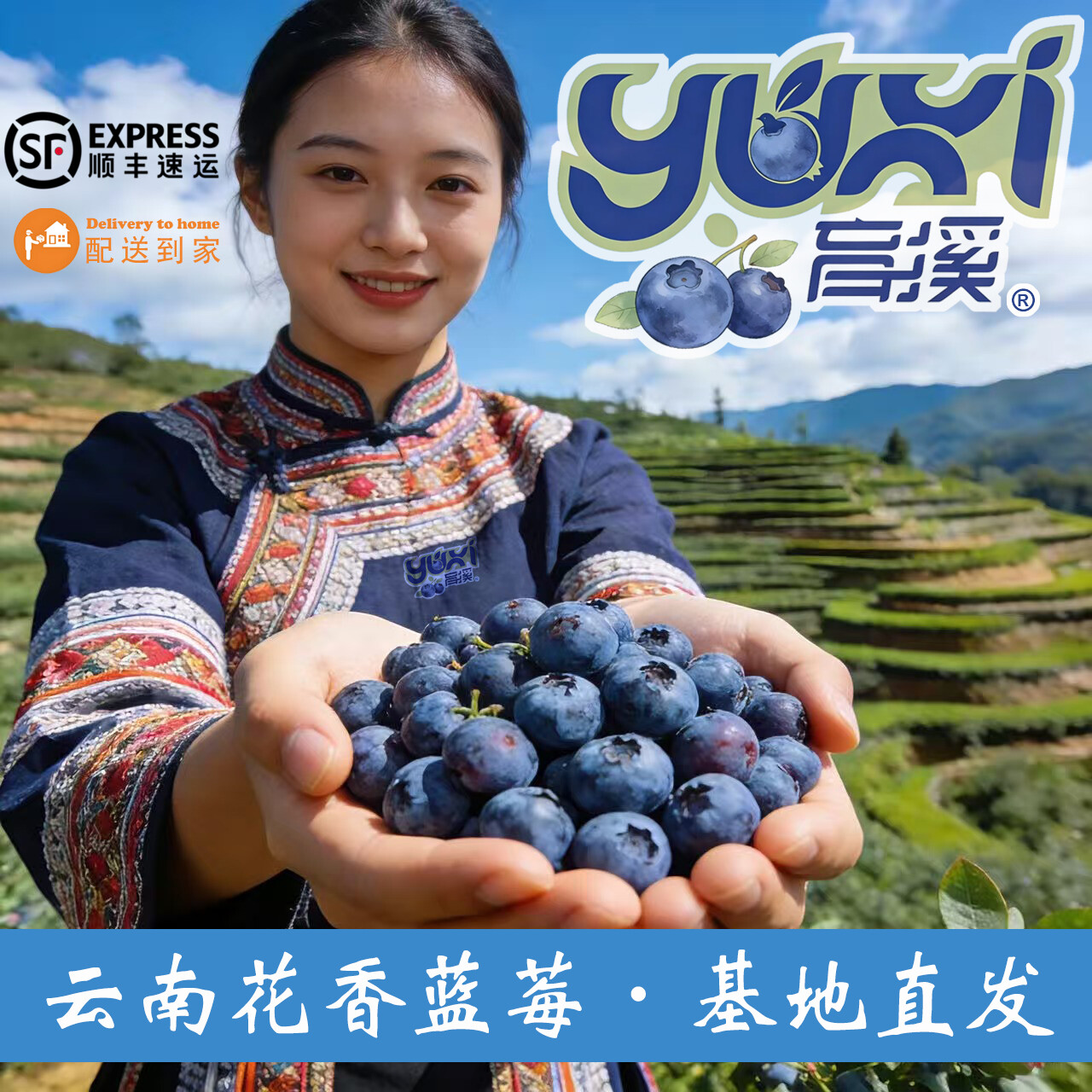 育溪蓝莓