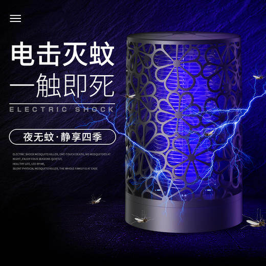 新款灭蚊灯