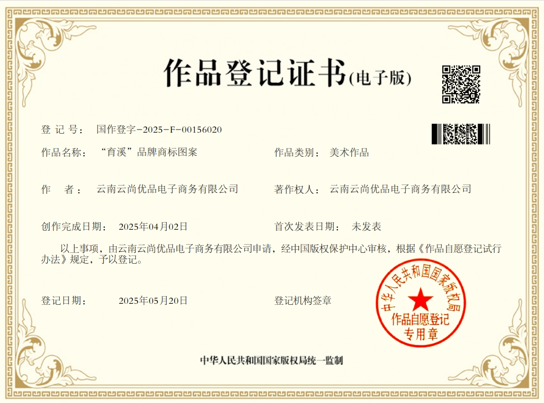 版权登记证书 3