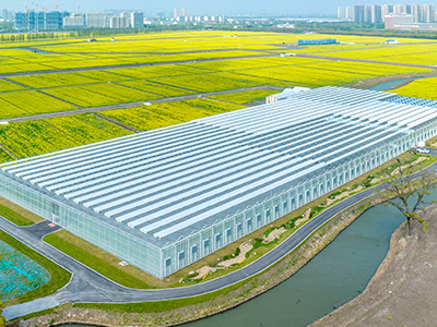 陆家未来智慧田园A+温室工场