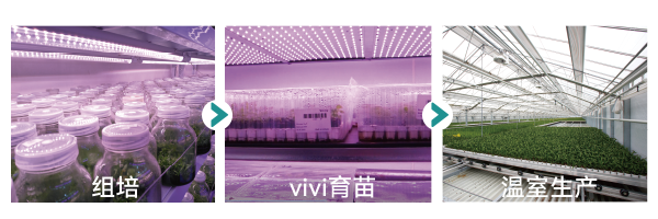 模块化栽培架
