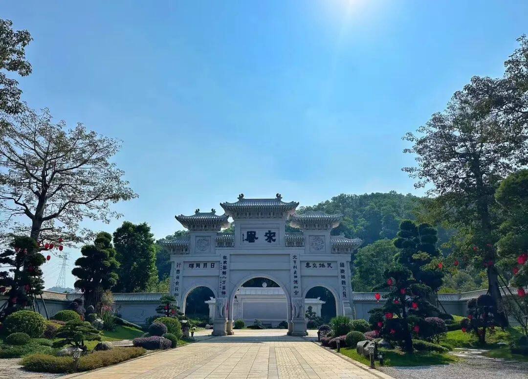 茶文化