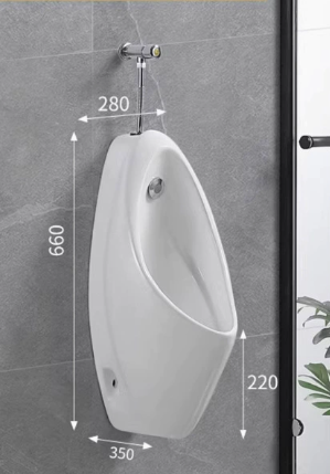 Wall-mounted Urinal