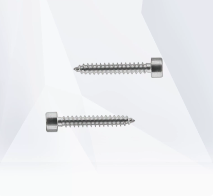 Stock 304 Socket Self-Tapping Cup-Head Cylindrical
