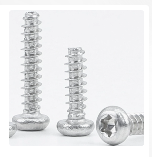 201 Stainless Round Internal Torx Self-Tapping