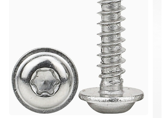 304 Flat PWB Internal Torx Round Washer Self