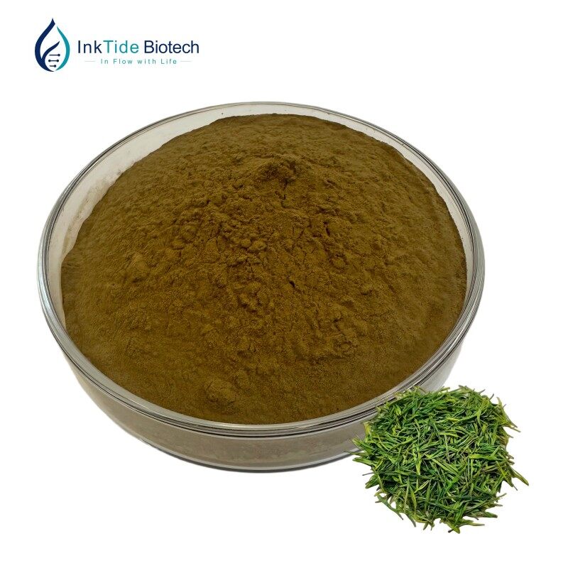 Green Tea Extract