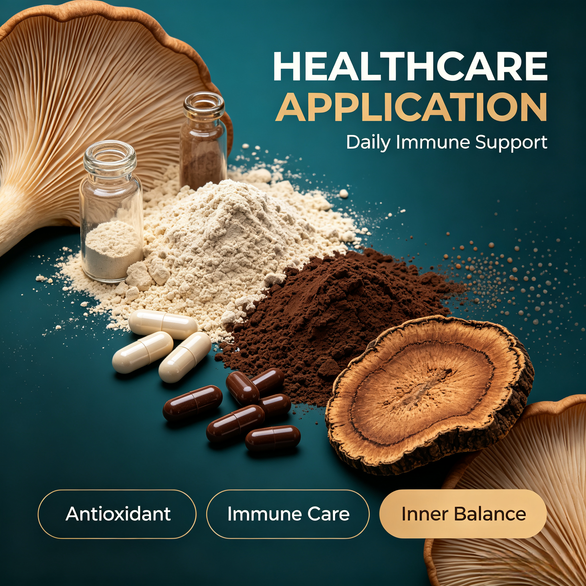 Ganoderma Applanatum Extract view 4