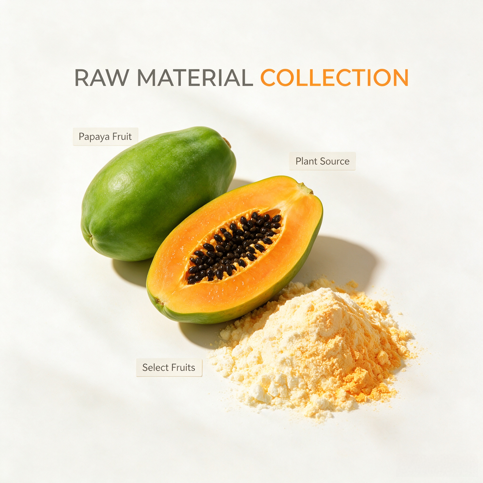 Papaya Extract view 3