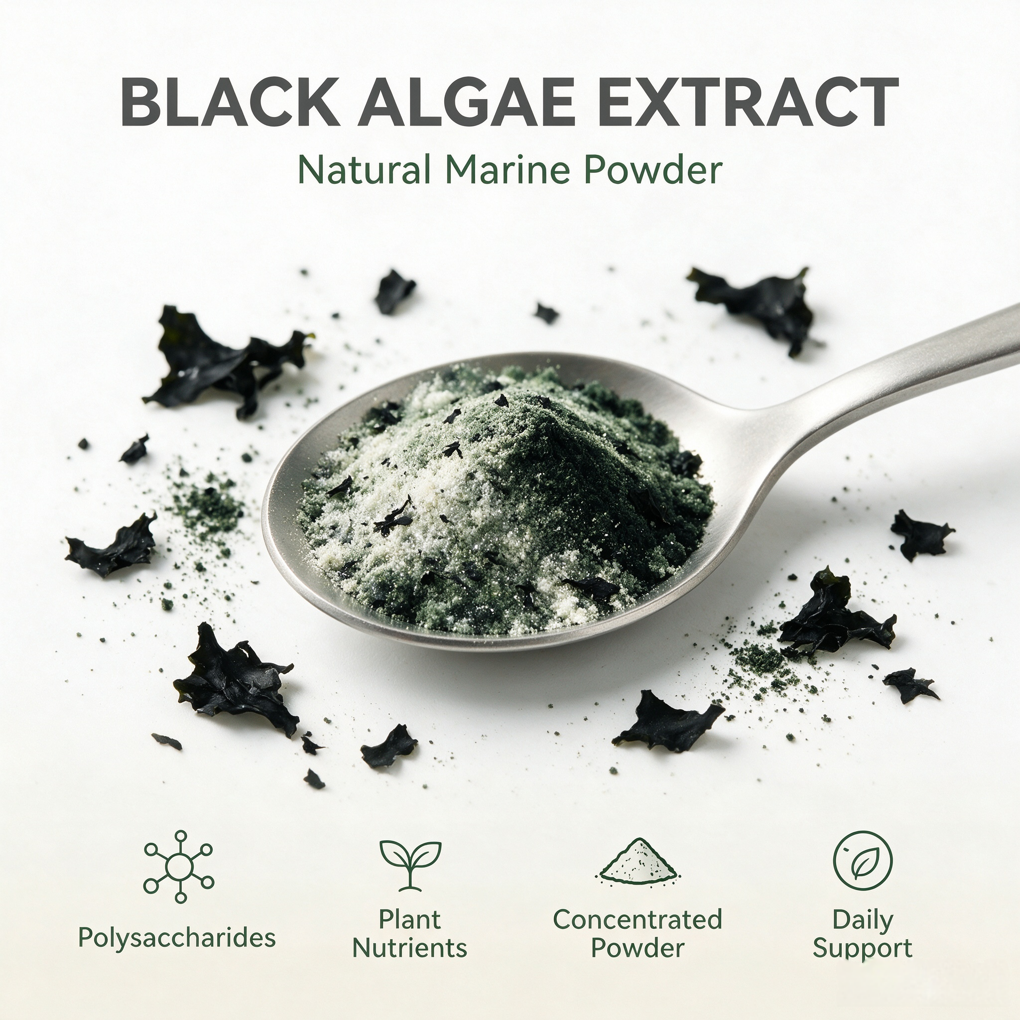 Black Algae Extract view 5