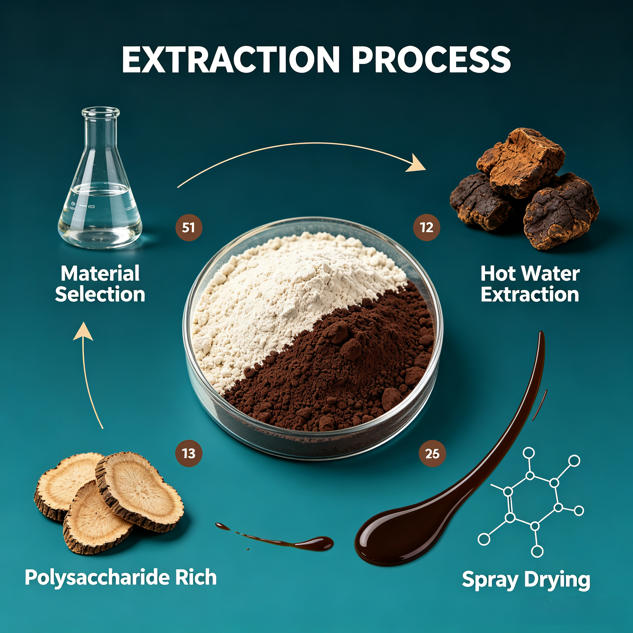 Chaga Mushroom Extract