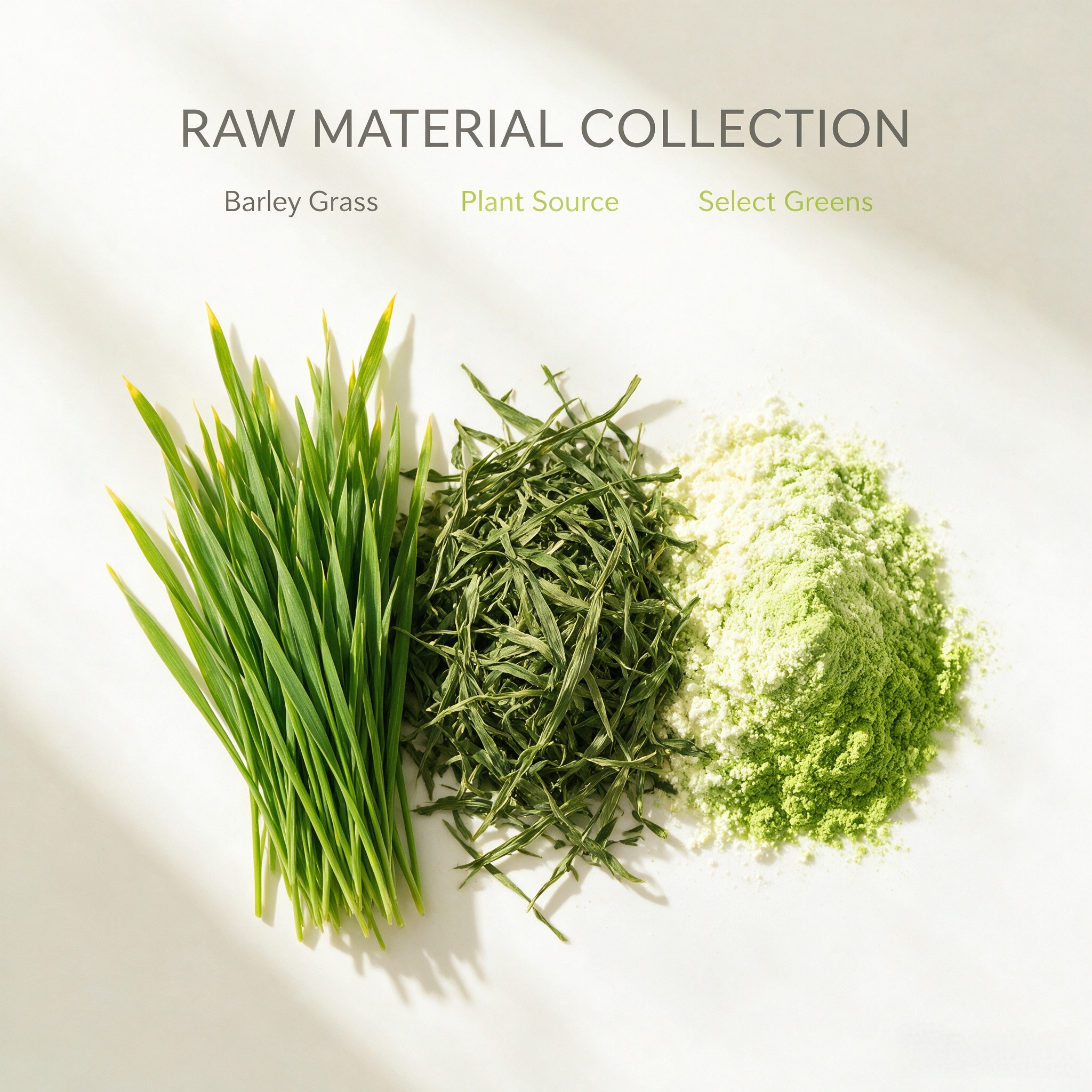 Barley Grass Extract
