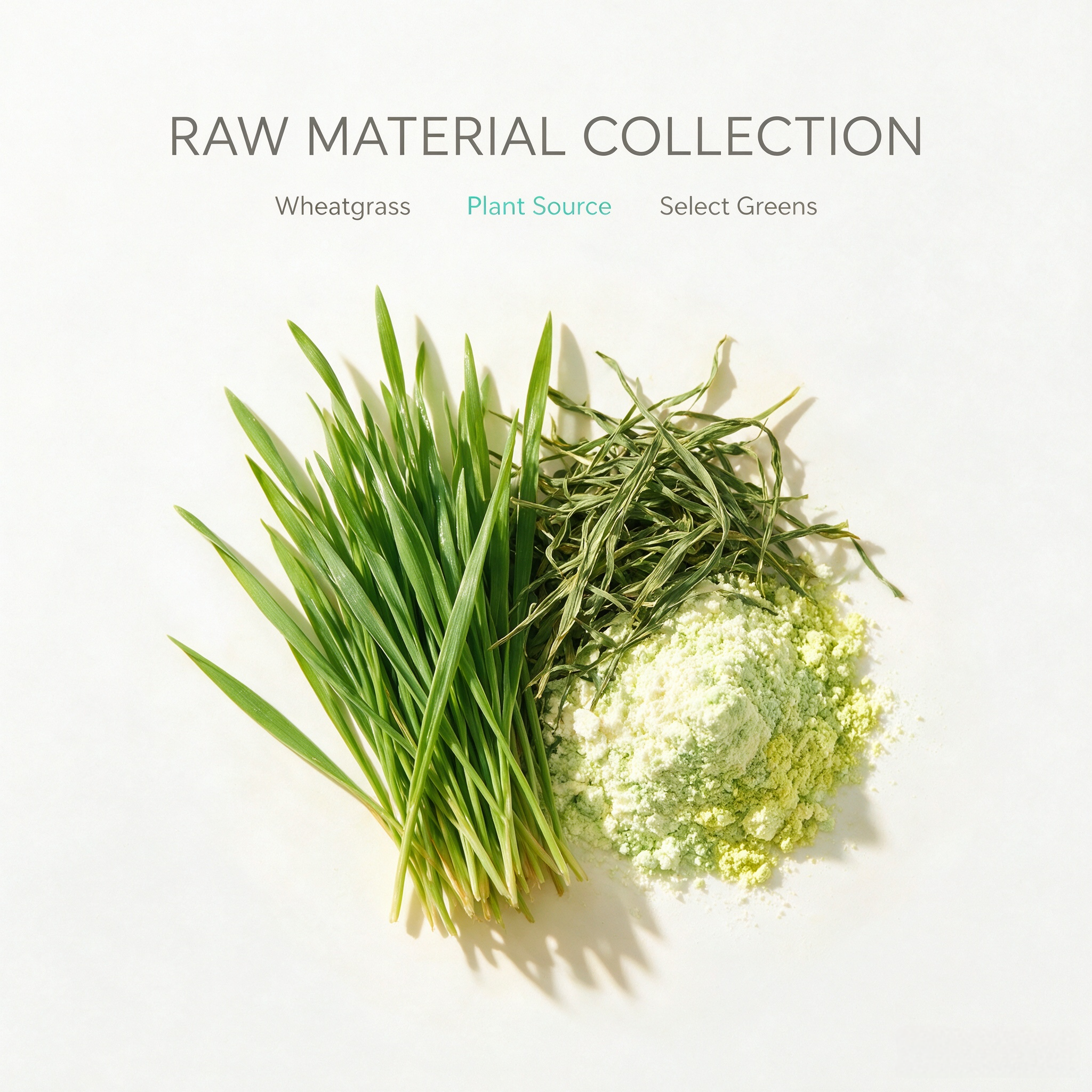 Wheat Grass Extract view 5