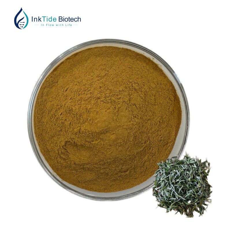 White Tea Extract