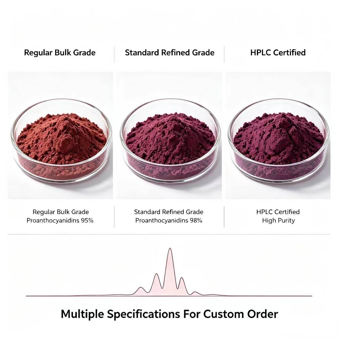 Grape Seed Extract