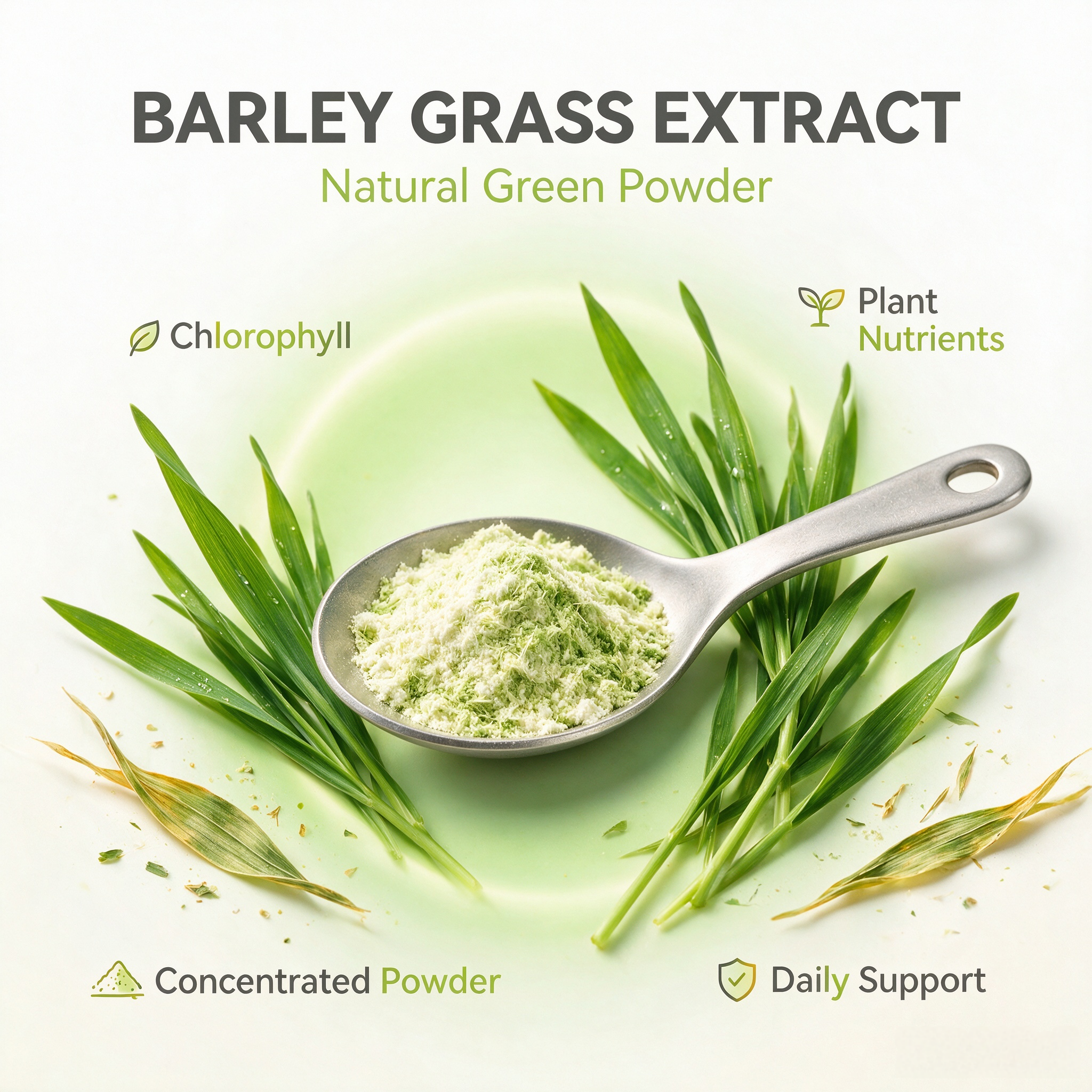 Barley Grass Extract view 4