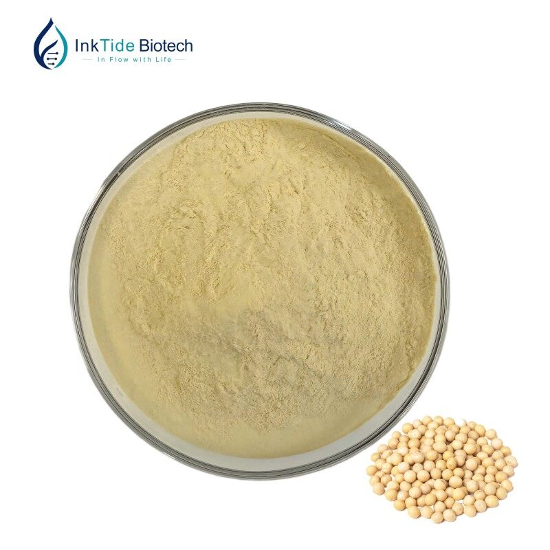 Soy Isoflavones Extract