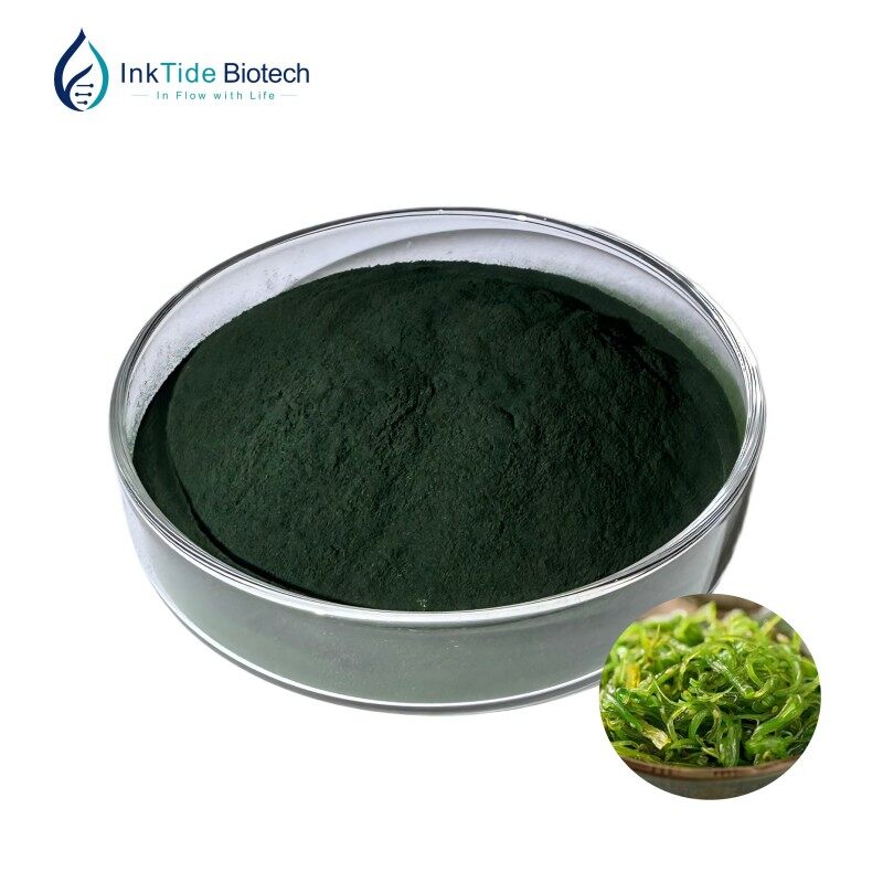 Organic Spirulina Powder view 4