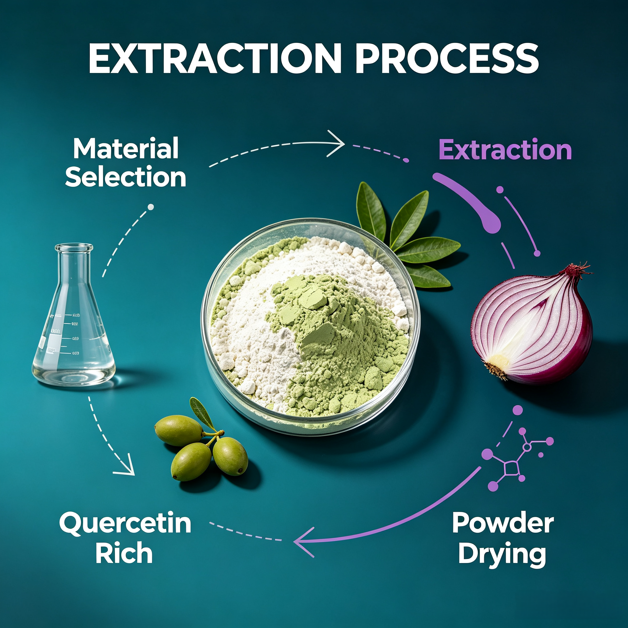 Quercetin Extract view 5