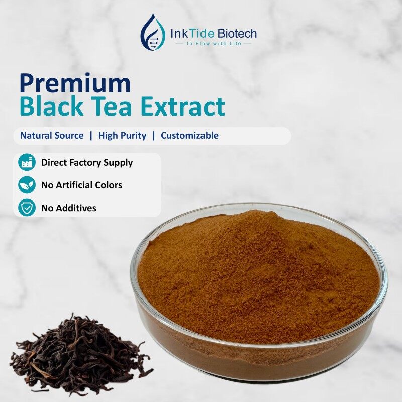 Green Tea Extract view 2