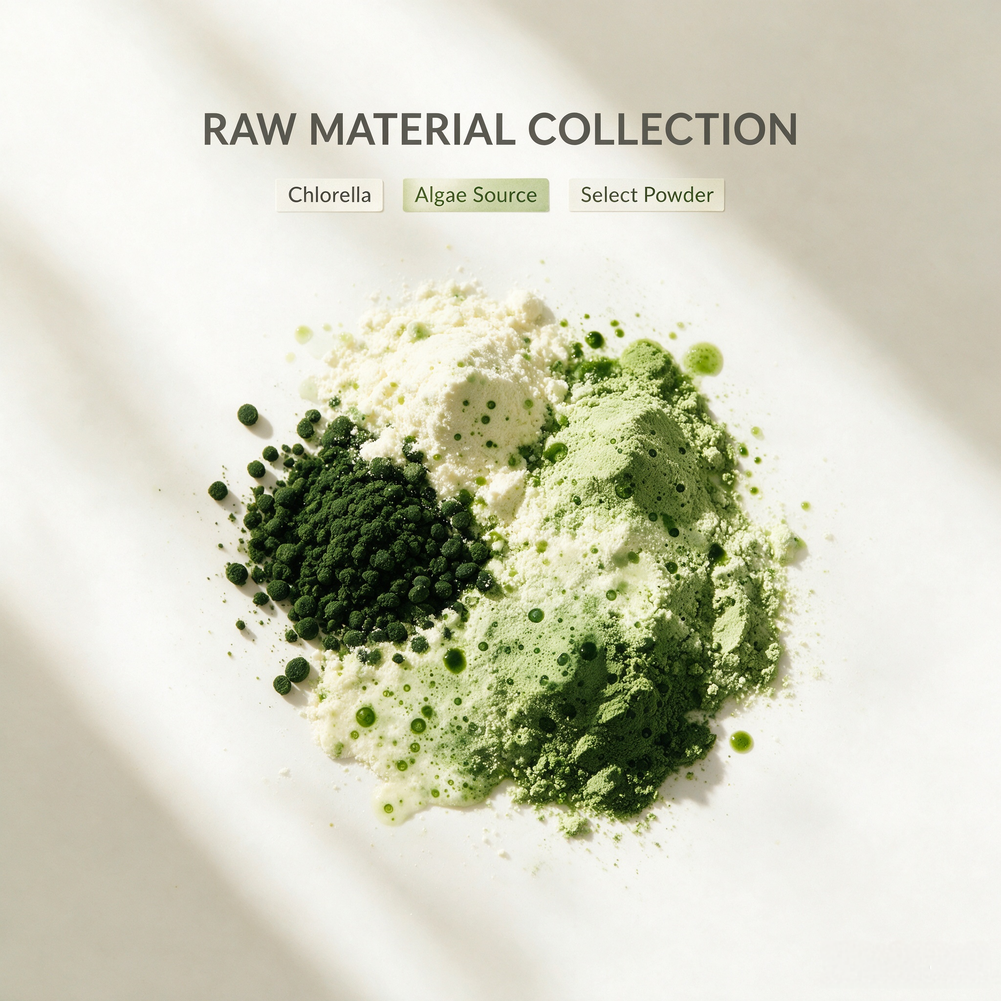 Chlorella Extract