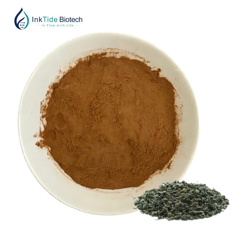 Oolong Tea Extract view 3