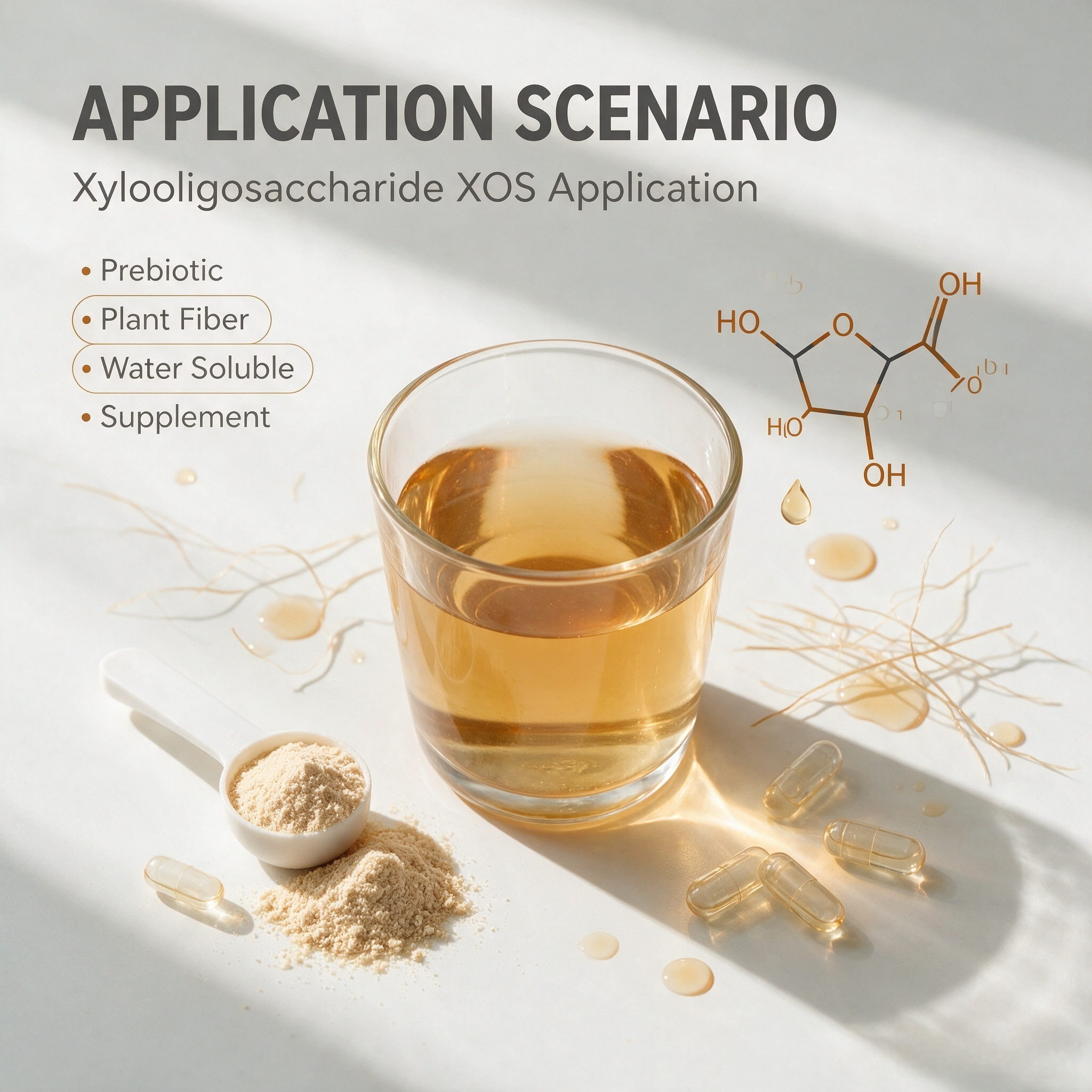 Xylooligosaccharide XOS view 5
