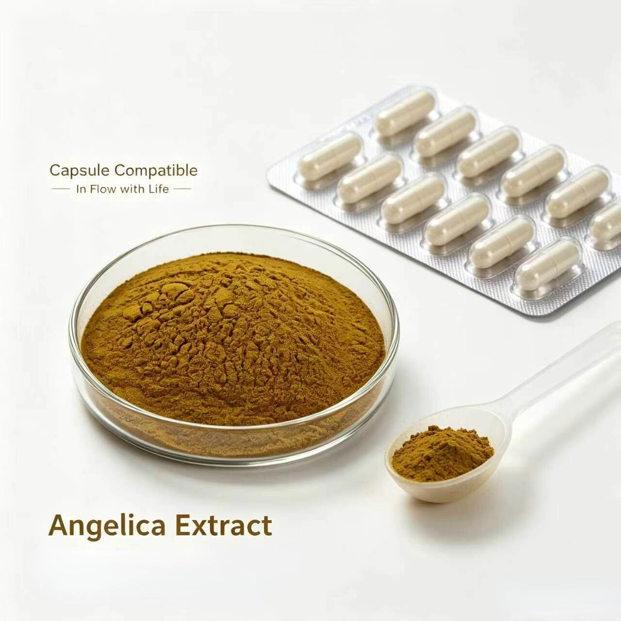 Angelica Dahurica Extract
