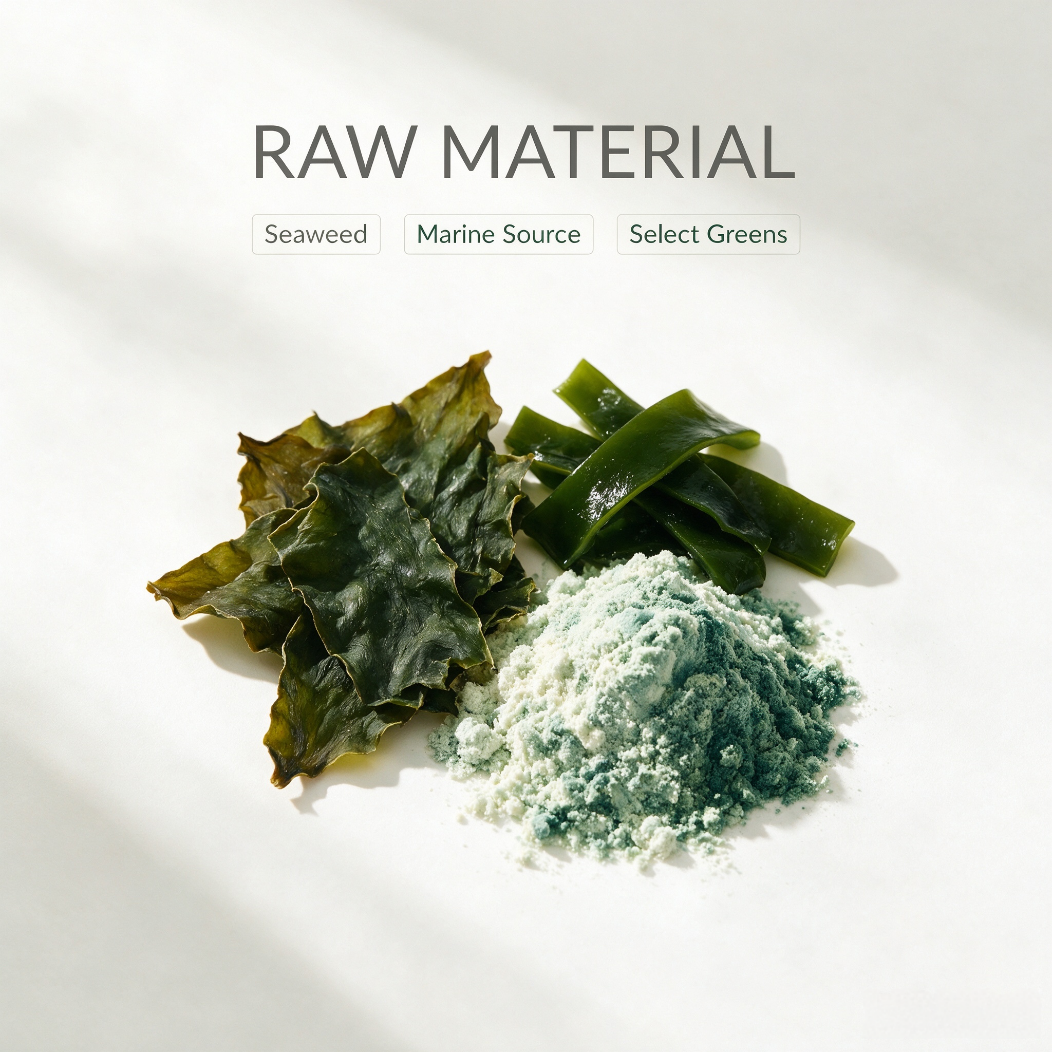 Seaweed Extract view 2