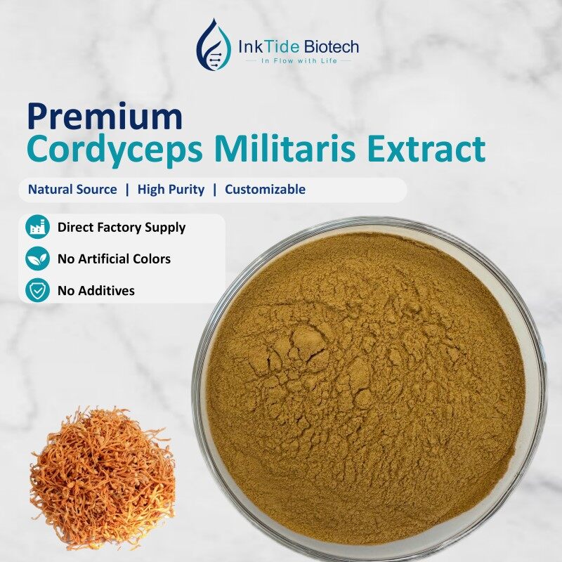 Cordyceps Militaris Extract view 4