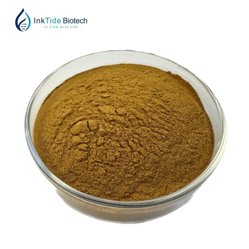 Green Tea Extract