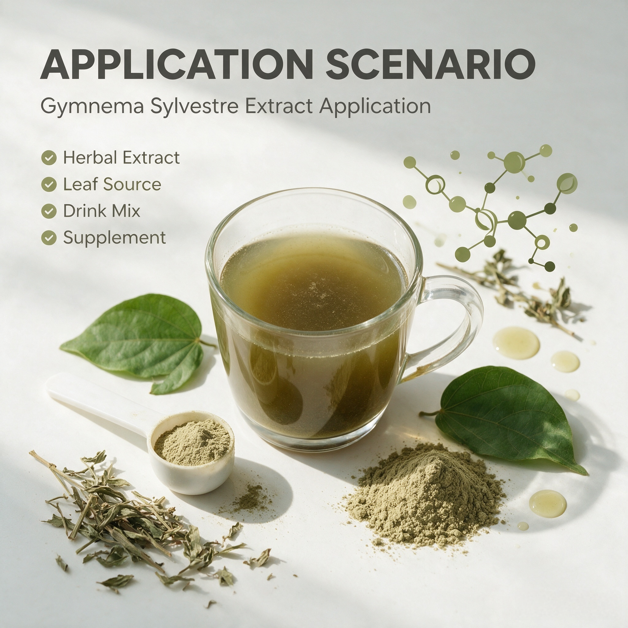 Gymnema Sylvestre Extract view 5
