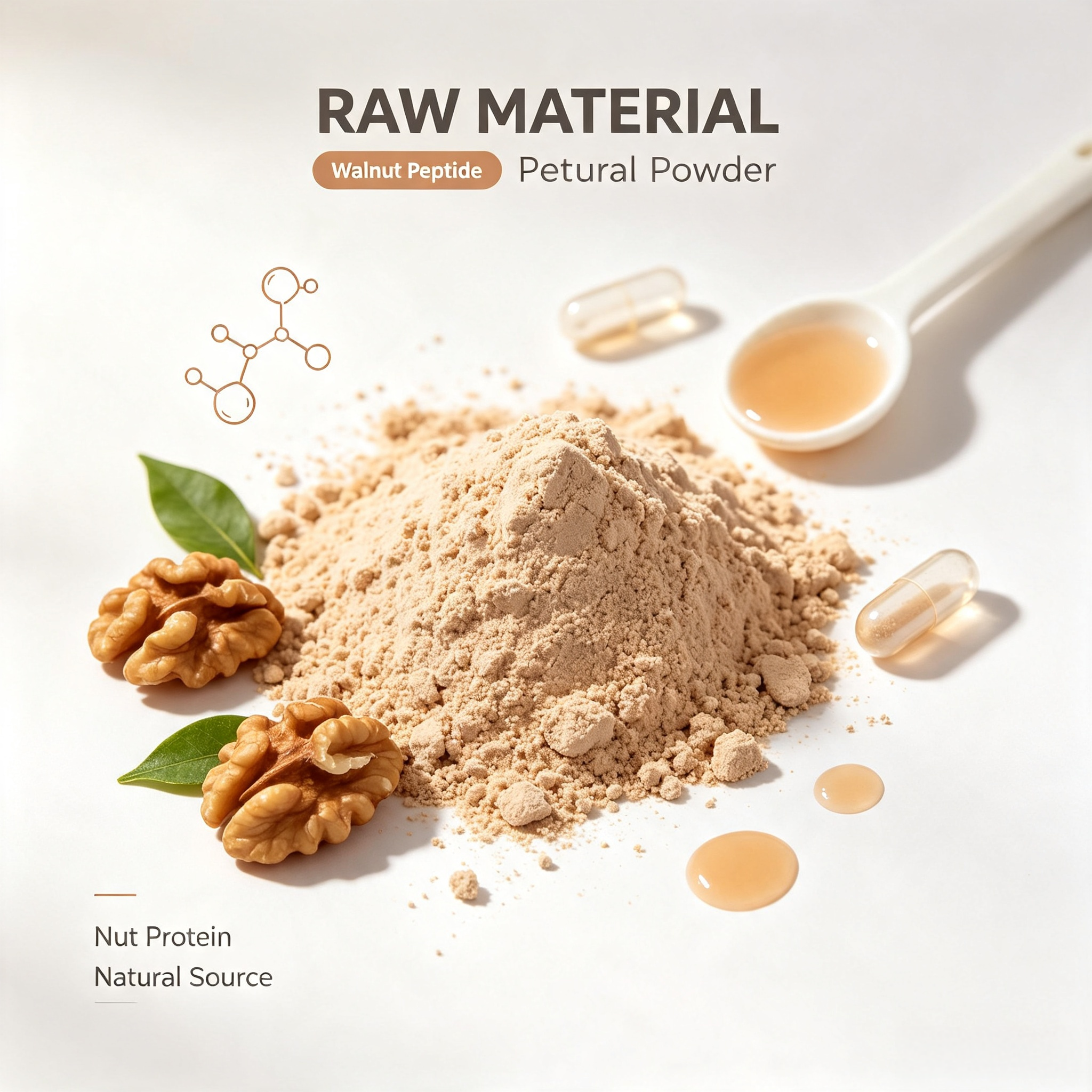 Walnut Peptide view 2