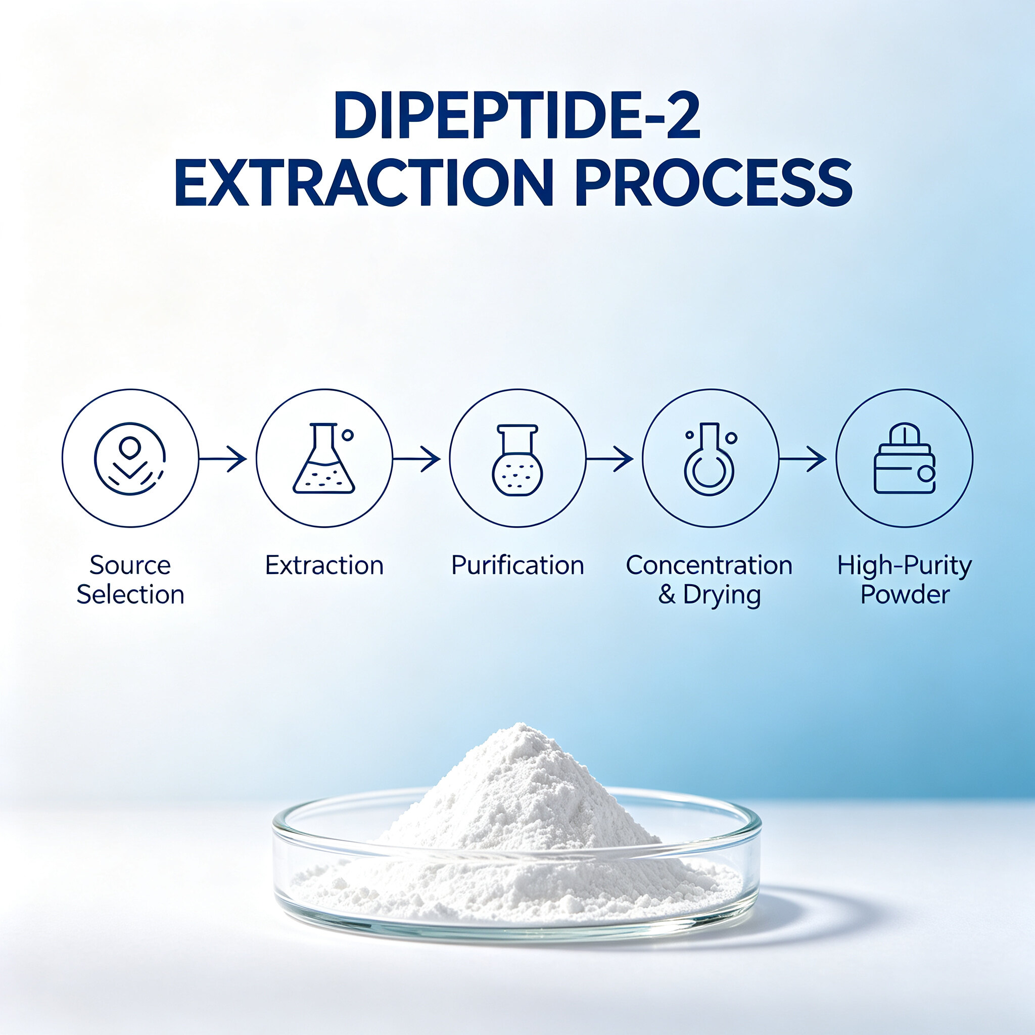 DIPEPTIDE-2 view 2