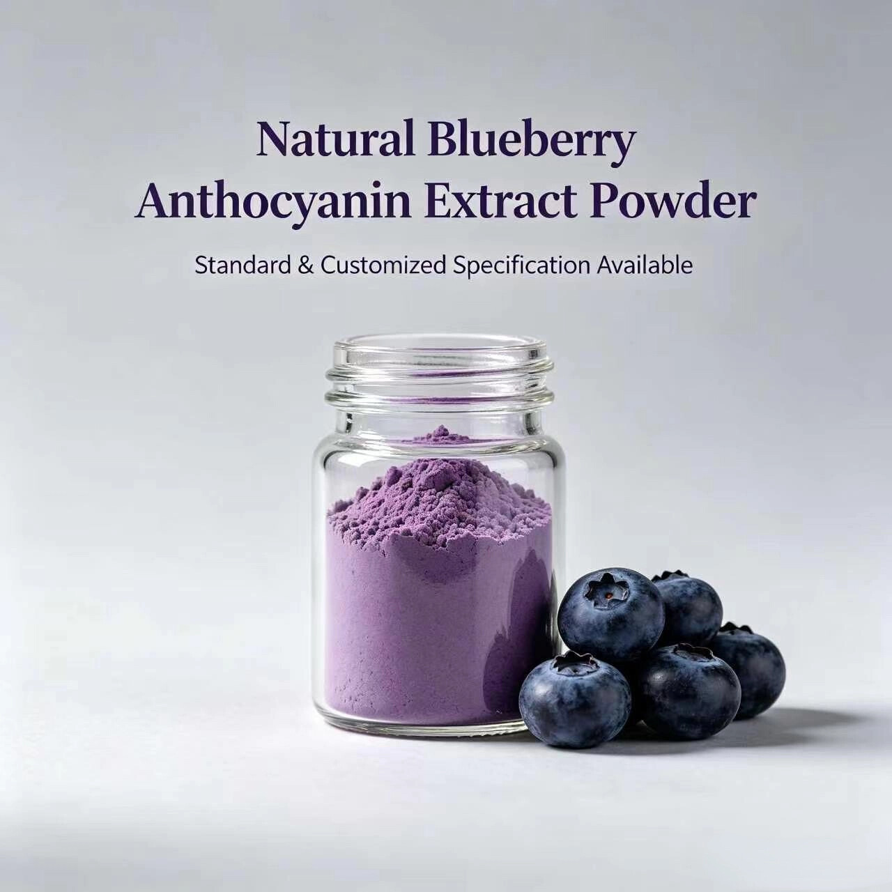 Blueberry Extract