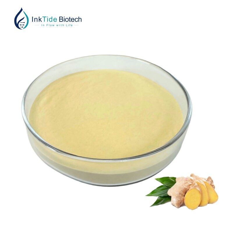Ginger Root Extract