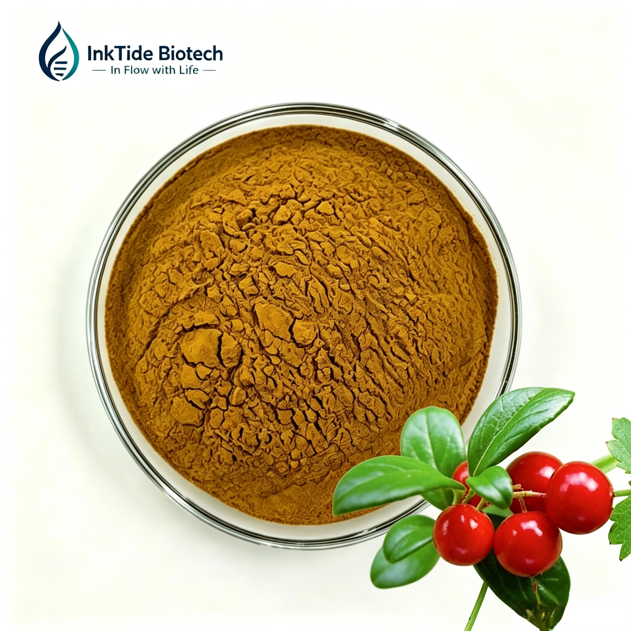 Bearberry Leaf Extract