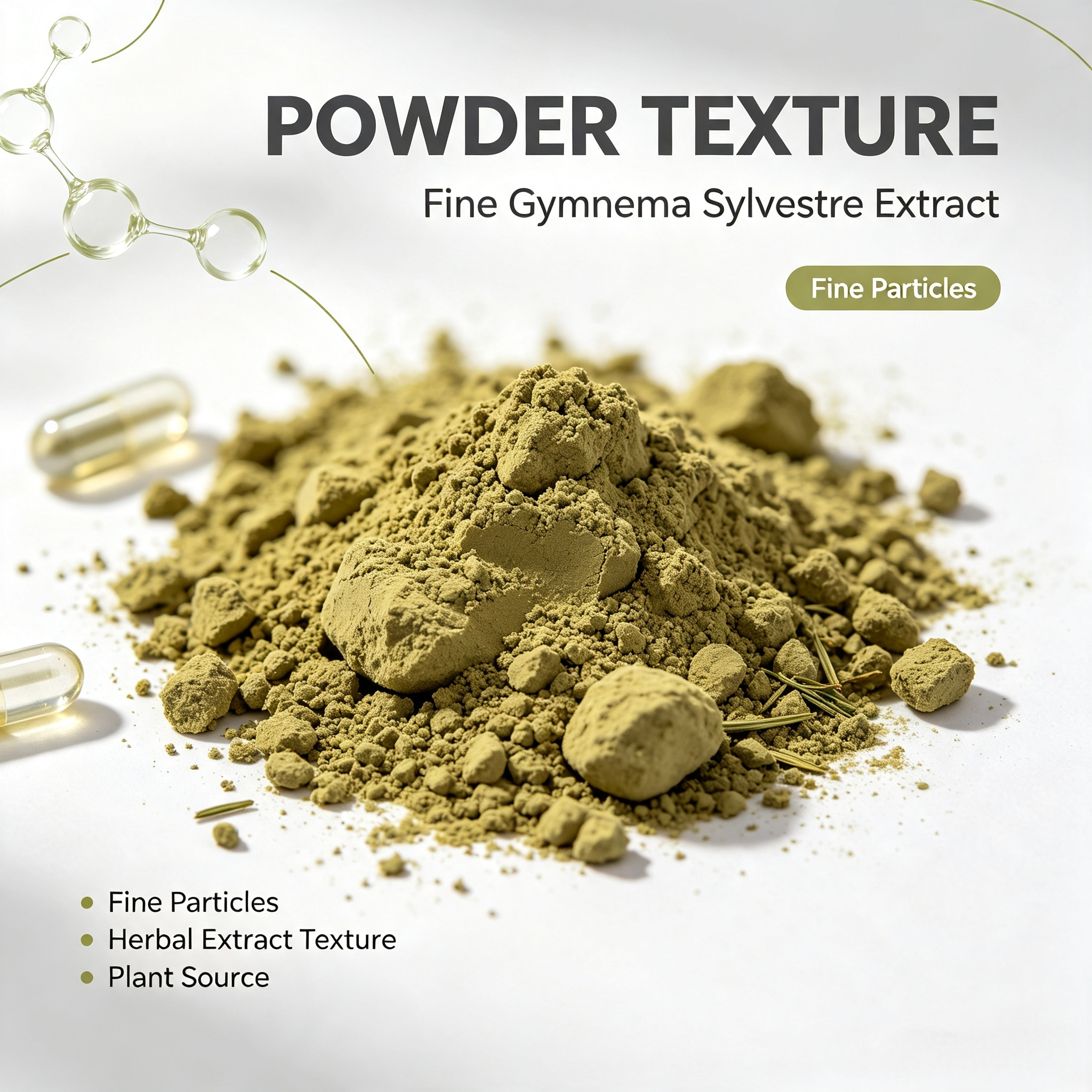 Gymnema Sylvestre Extract view 1