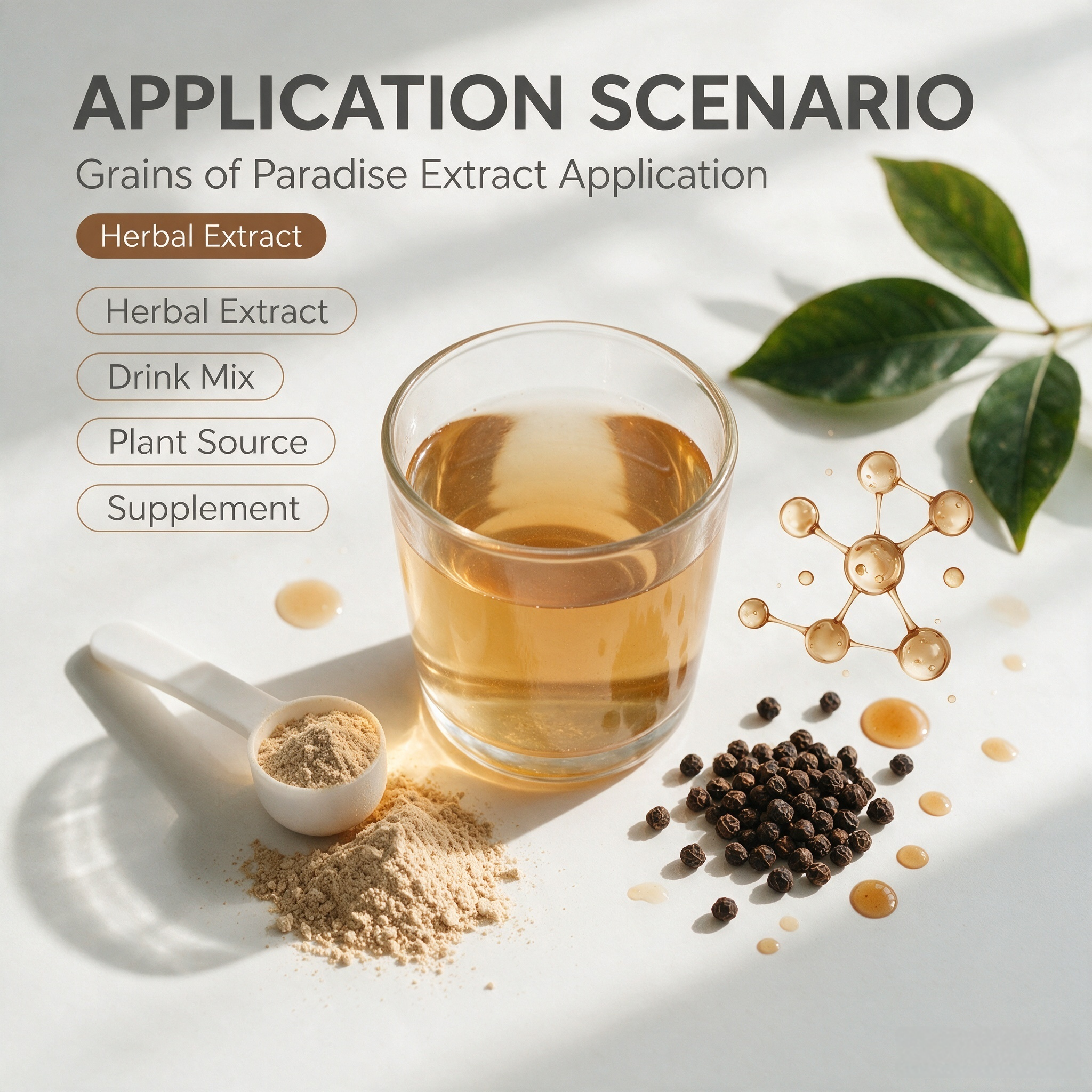 Grains of Paradise Extract view 5