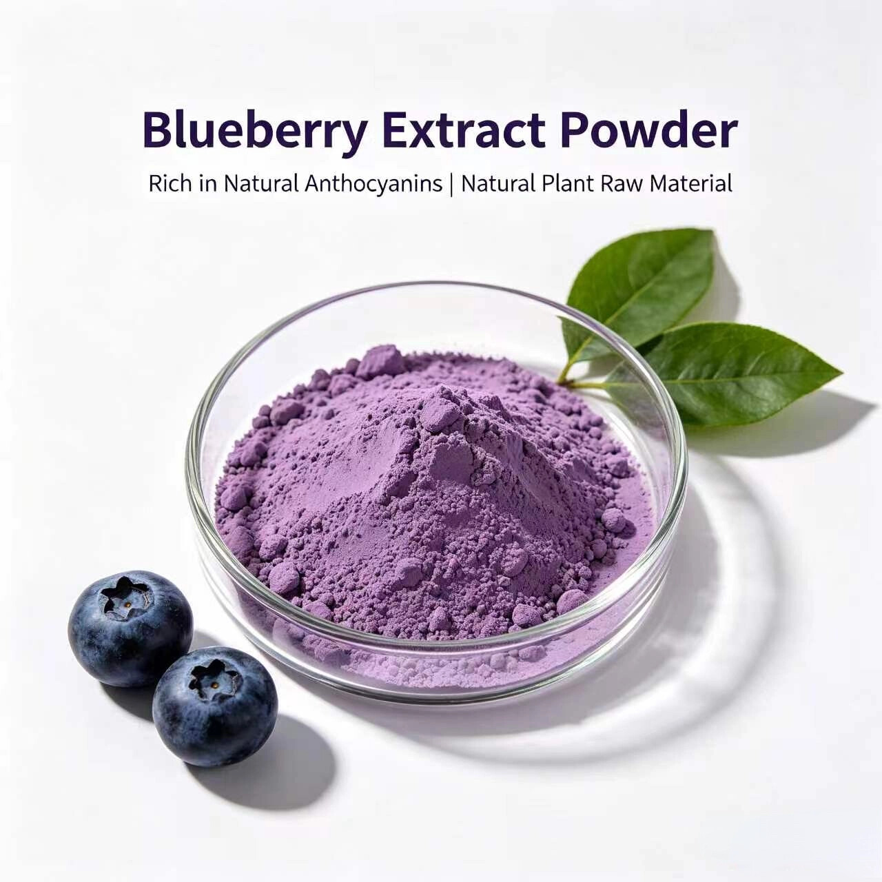Blueberry Extract view 3