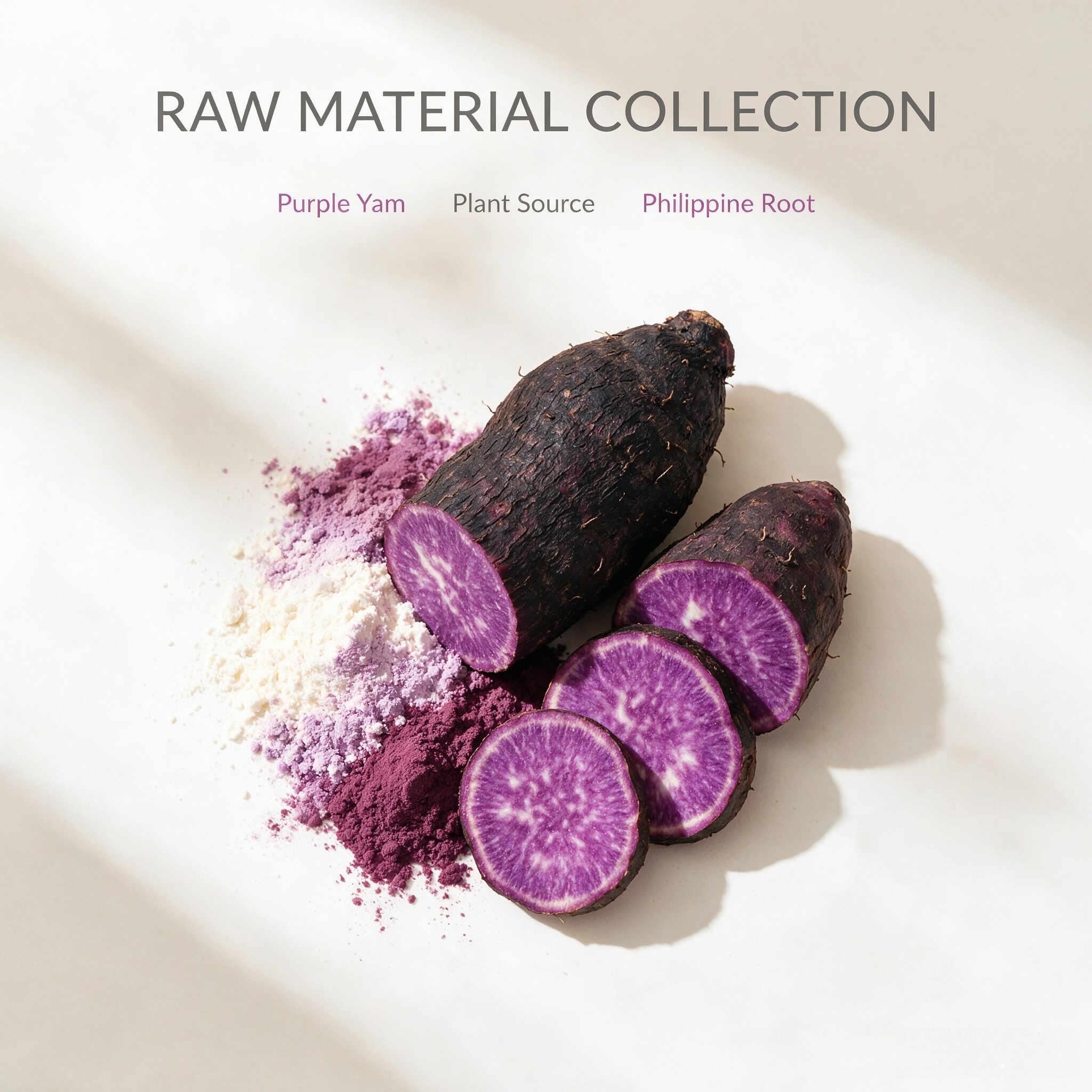 Philippine Purple Yam Extract
