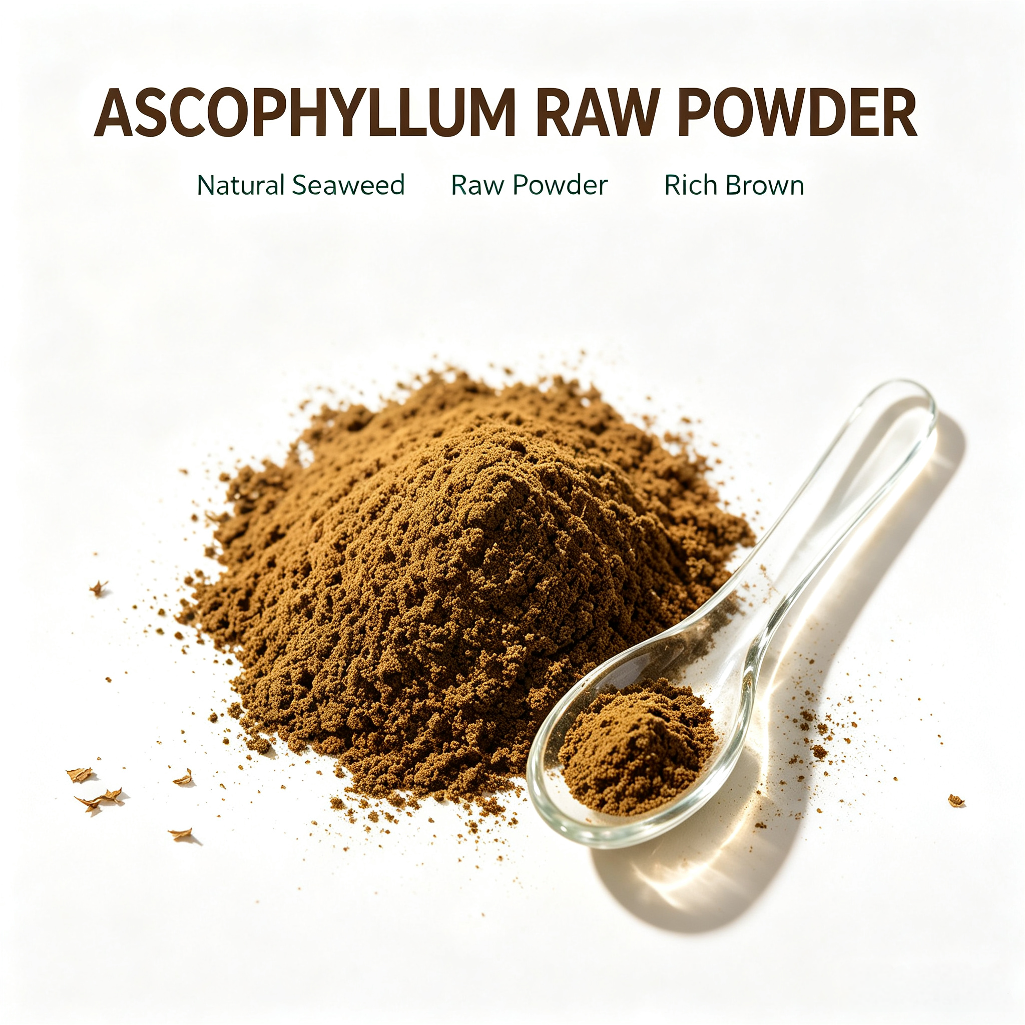Ascophyllum Nodosum Powder view 5