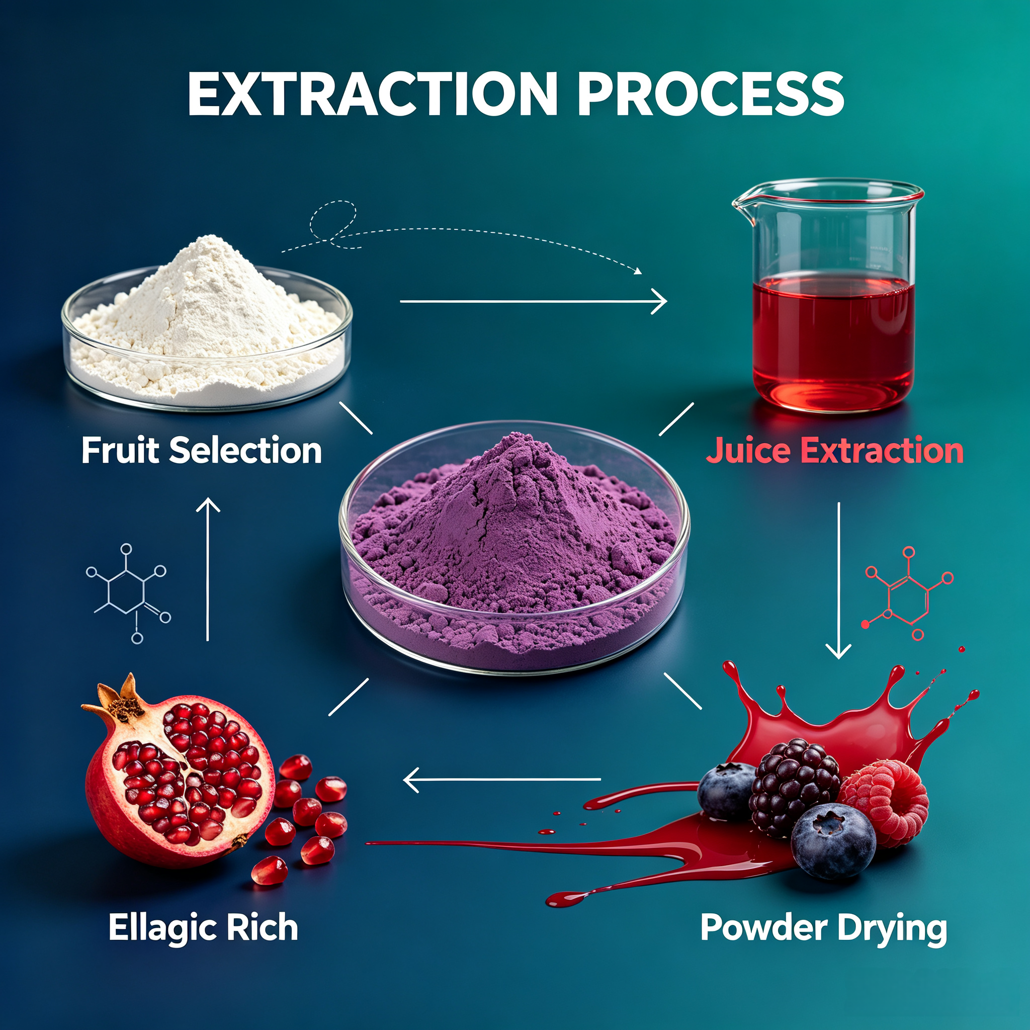 Ellagic Acid Extract