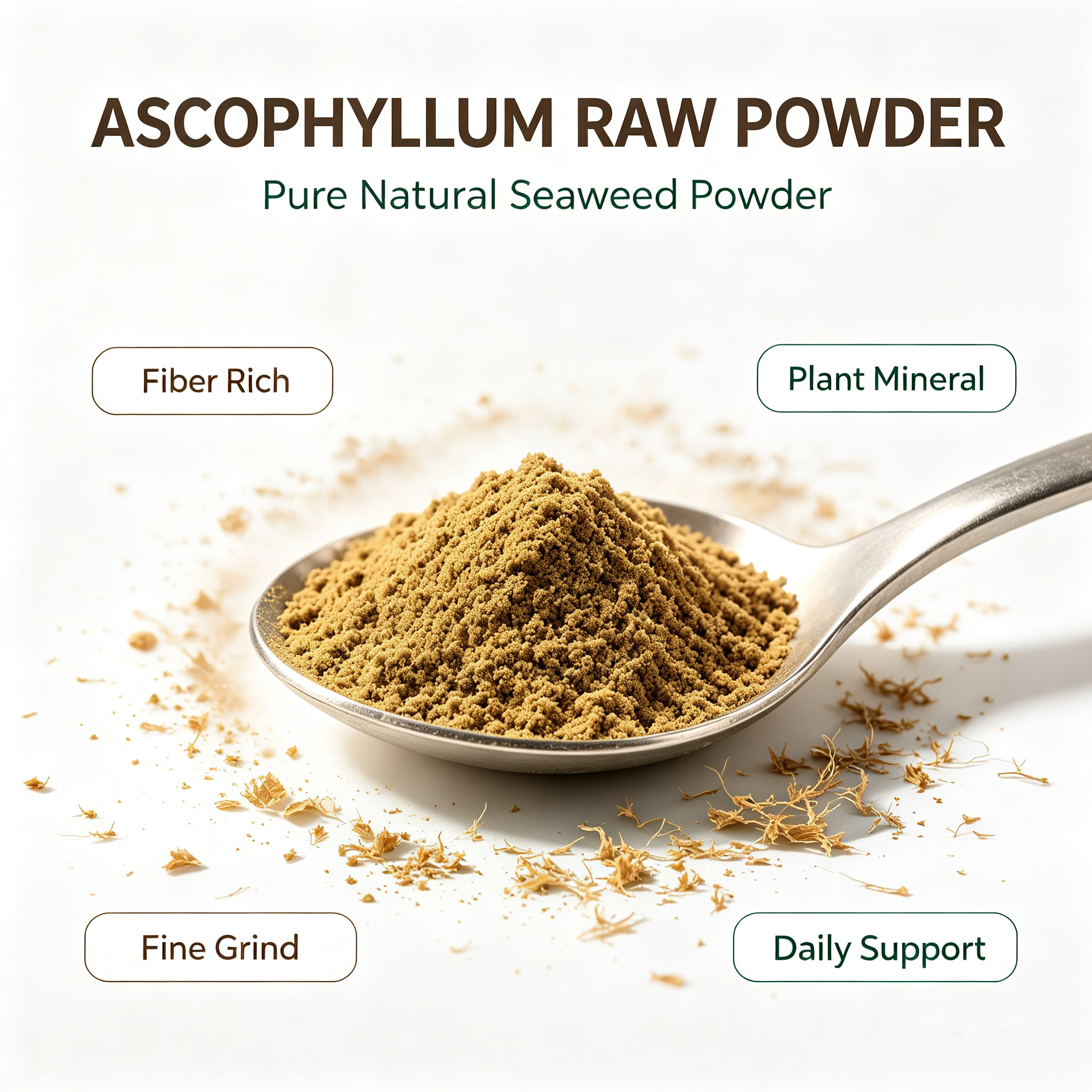 Ascophyllum Nodosum Powder view 3