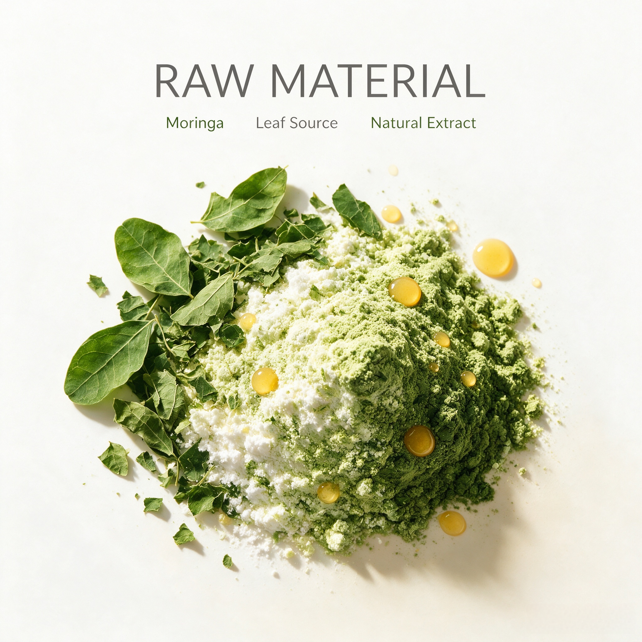 Moringa Leaf Extract