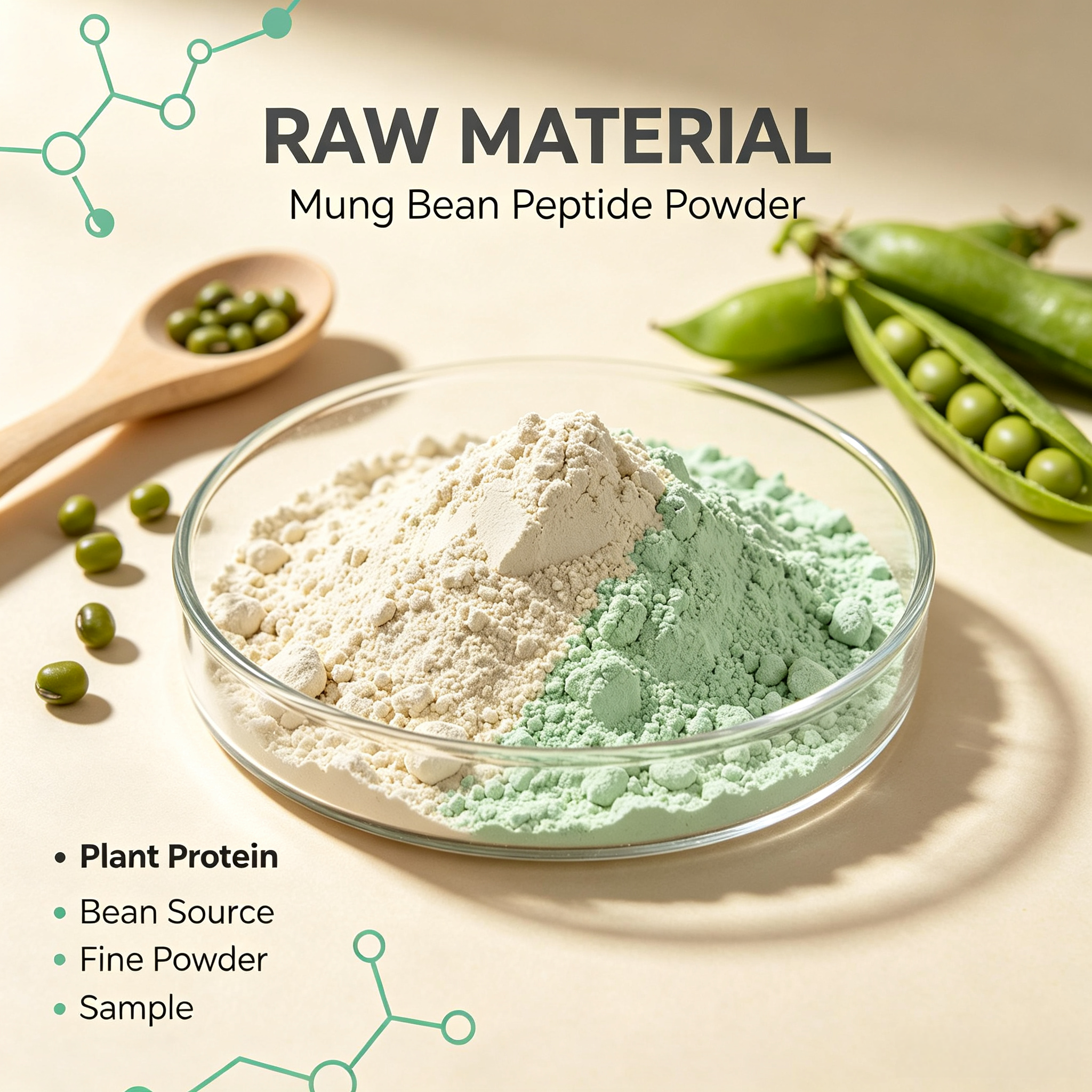 Mung Bean Peptide view 4
