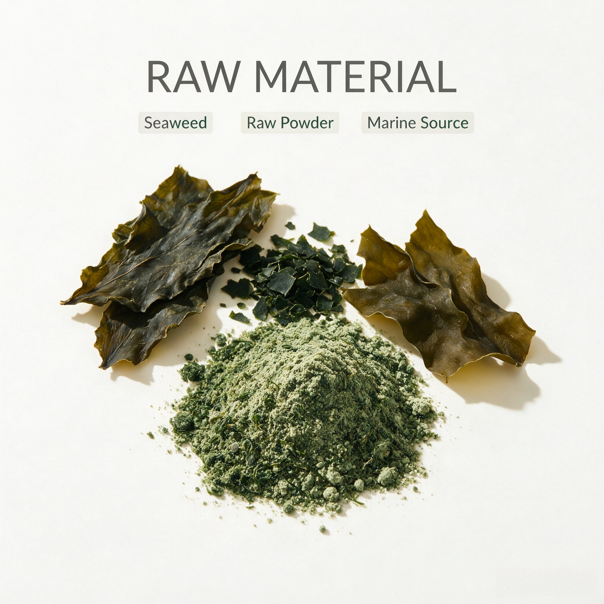Seaweed Original Powder view 4