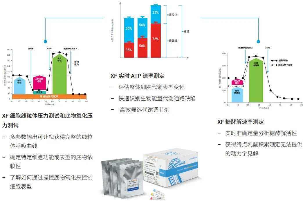 Seahorse 实验工作原理示意图