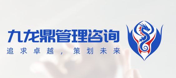九龙鼎管理咨询 Logo
