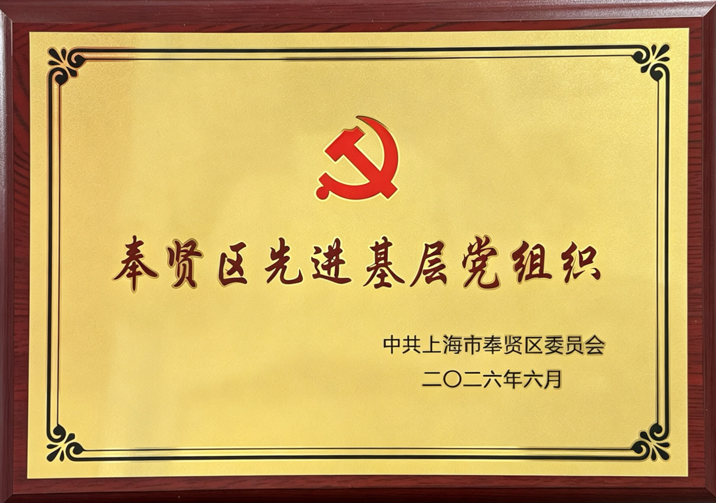 喜报！祝贺这些新兴领域党员、党组织荣获市、区“两优一先”